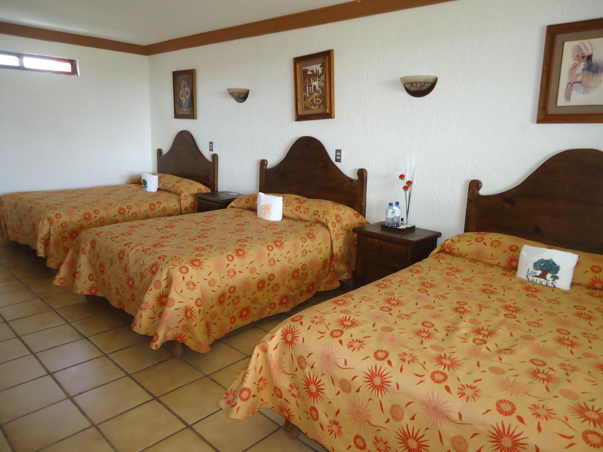 Hotel Los Sauces Villa Del Carbon Quarto foto